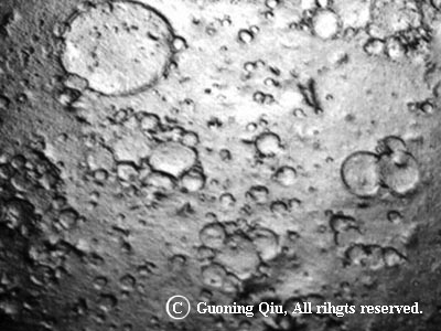 月面クレーター形成の真のメカニズム